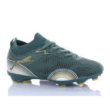 Спорт Ashiguli 508S
