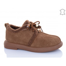 Туфли Trasta WMP1122-33