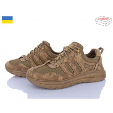 Кроссовки Paolla 2303 бежевий