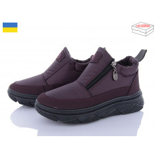 Ботинки Paolla 1705 бордовий