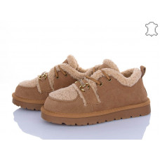 Туфли Itts HY072-20
