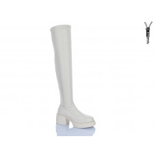 Ботфорты Qq Панда G011 єврозима