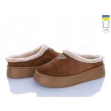 Угги Stella YV5 camel