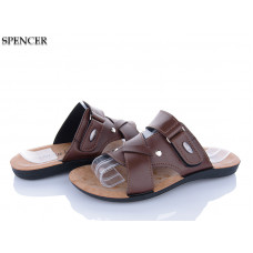 Шлепанцы Spencer 2402 коричневий