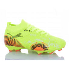 Спорт Ashiguli 508V