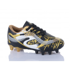Спорт Ashiguli C06-1