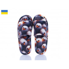 Тапочки Cocon Birds