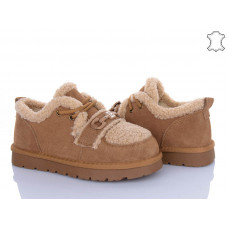 Туфли Itts HY071-20