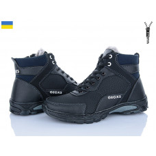 Ботинки Paolla РБ37 чор-синій