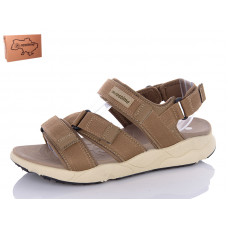 Сандалии Restime YML24110 camel