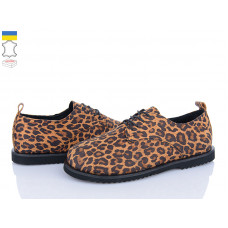 Туфли Ailinda 966-13